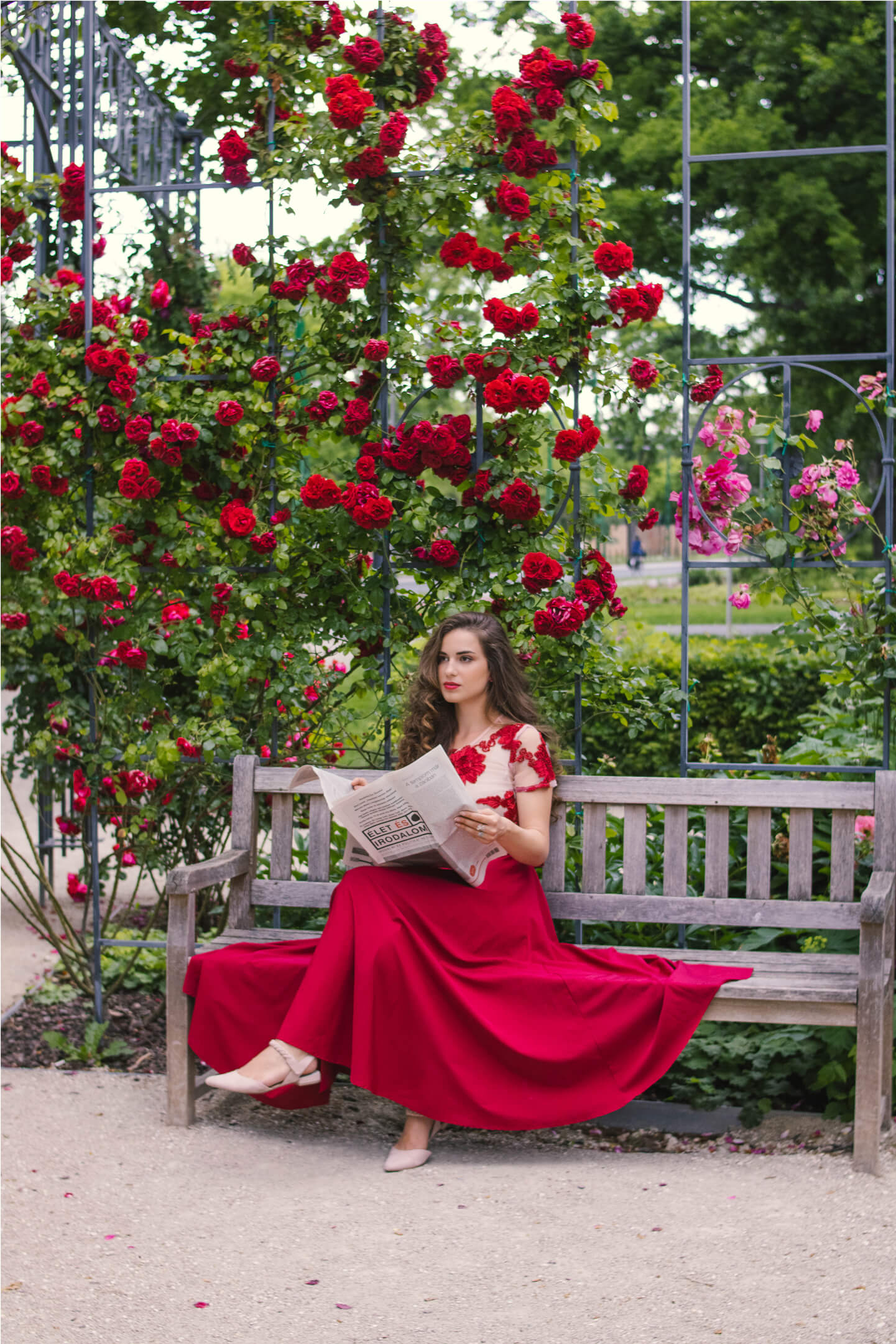 Woman in a red dress sitting in a rose garden, holding a newspaper.